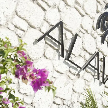 Alavya-3