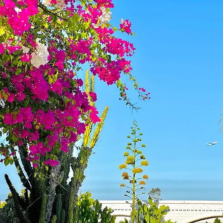 Santorini Villa Cam Ranh-3