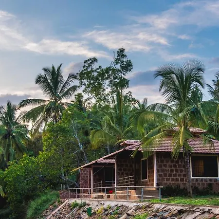 Dandeli Jungle Resort-3