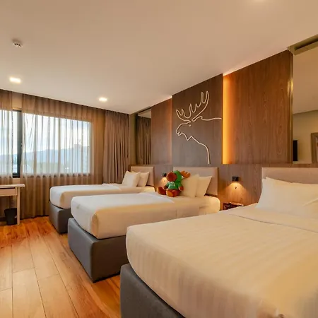 Moose Hotel Chiangmai-3
