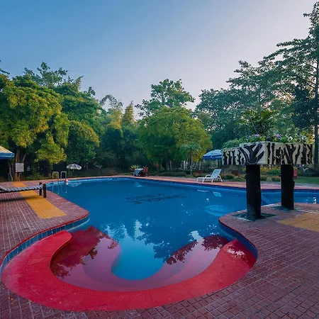 Jungle King Resort-2