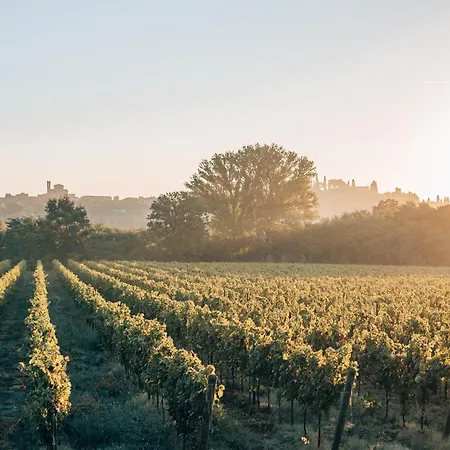 Borgo San Vincenzo-3
