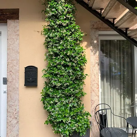 Villa Jasmine-3