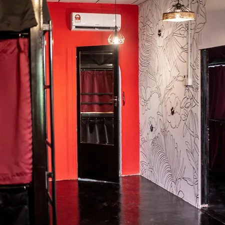 House Of Lion Hostel-2
