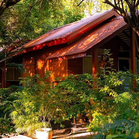 Safari Lodge Yala-3