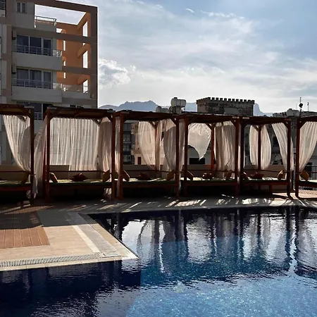 Olivia Palm Hotel-2