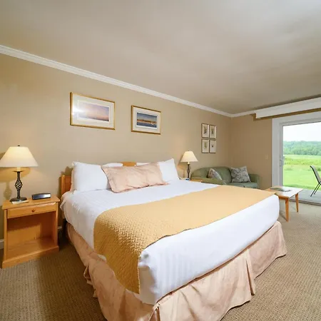 Stoweflake Mountain Resort & Spa-3