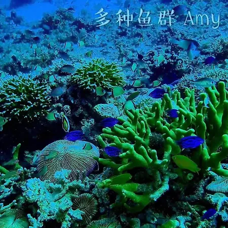 Jelly Sea Resort-3