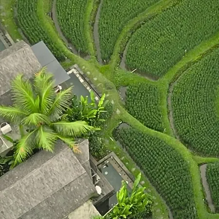 Menzel Villa Ubud-3