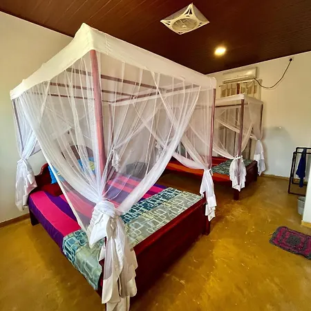 Coconut Tree Beach House-3