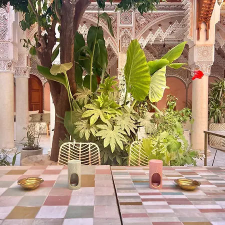 Riad Azad & Spa-3