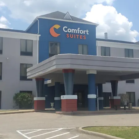 Comfort Suites Airport South-2