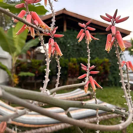 Garden Pearls-2