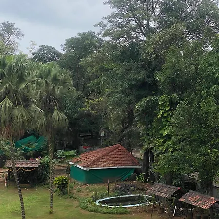 Jewel Resort-3