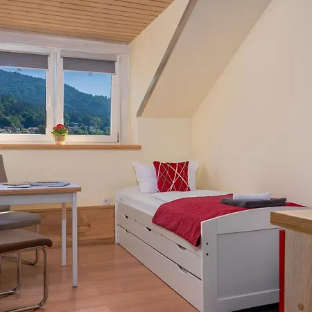 Pension Bayerwald-2