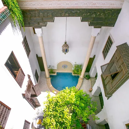 Riad Marelia-3