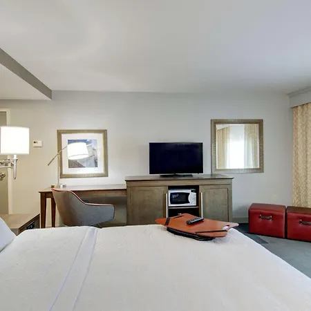 Hampton Inn & Suites Springfield Downtown-2