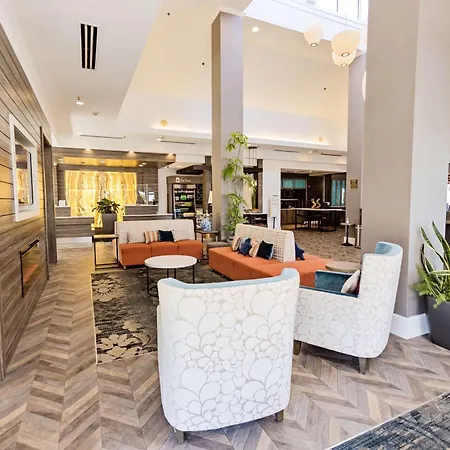 Hilton Garden Inn Temple Medical Center-3