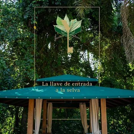 Yvy Hotel de Selva-2