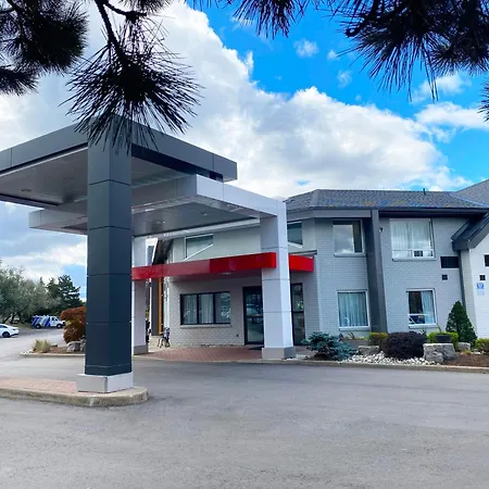 Comfort Inn Dryden-3