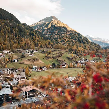 Rustica Alpine B&B-3