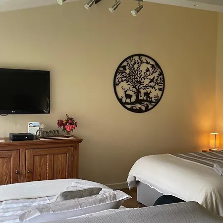 Tegfan Garden Suite-2