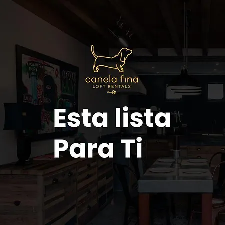 Canela Fina - Adults Only-2