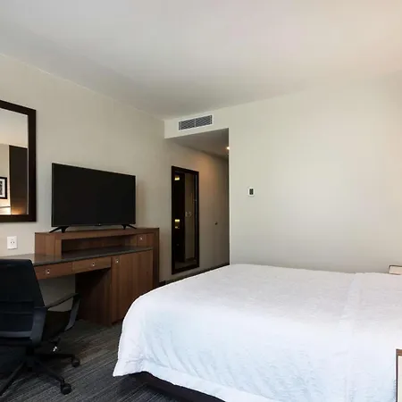 Hampton Inn By Hilton San Luis Potosi-3