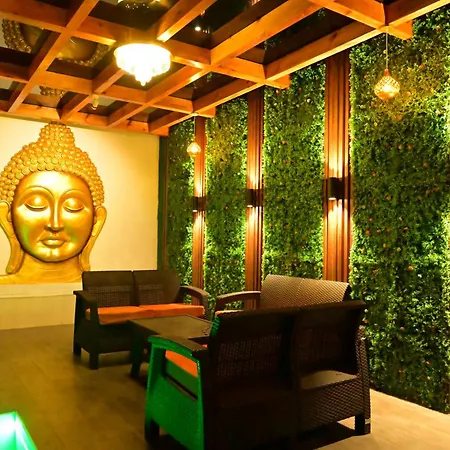 Mohi Villa-3