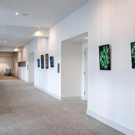 Springhill Suites By Marriott Amelia Island-3