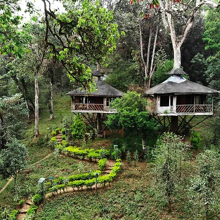 Nature Zone Munnar - A Real Jungle Resort - Authentic Tree House And Premium Tents-3