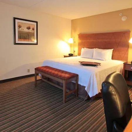 Hampton Inn Hampton-Newport News-3