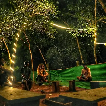 Nebula Nest Cafe & Hostel-2
