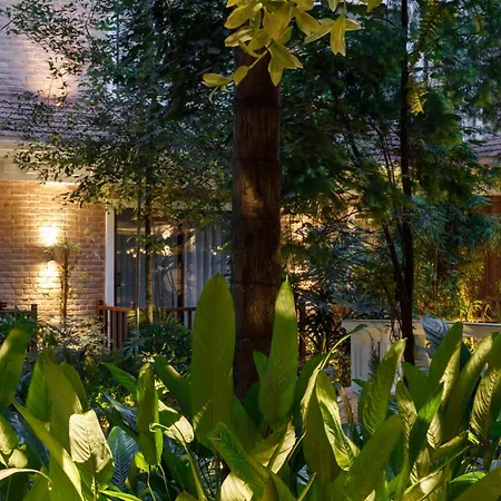 Hotel Thrive, A Tropical Courtyard-2
