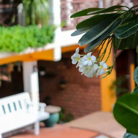 Chandara Boutique Hotel-3