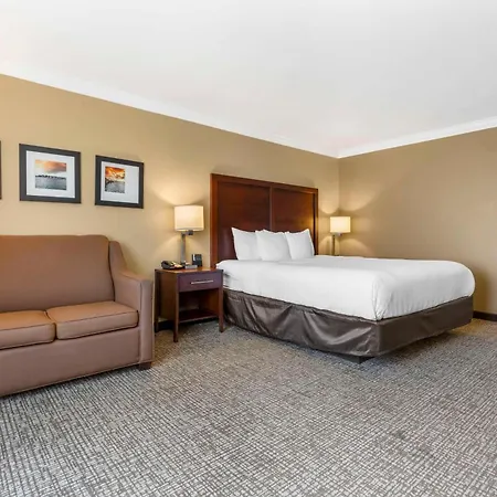 Comfort Inn & Suites Redwood Country-2