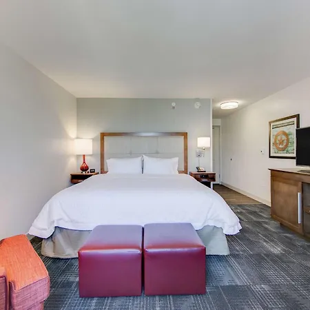 Hampton Inn & Suites North Houston Spring-3
