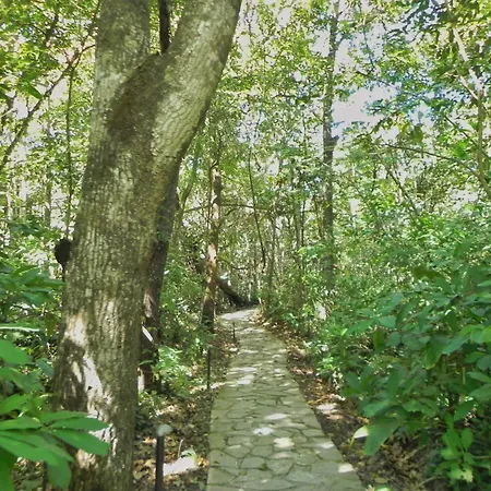 Pousada Éden - Conforto, Imersão e Natureza-3