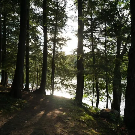 Walker Lake Resort-2