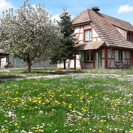 Les Loges De L'Ecomusee D'Alsace-2