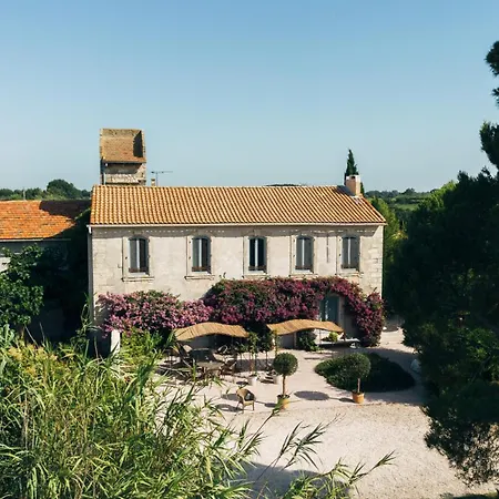 Maison Tara verte au Mas Montredon-2