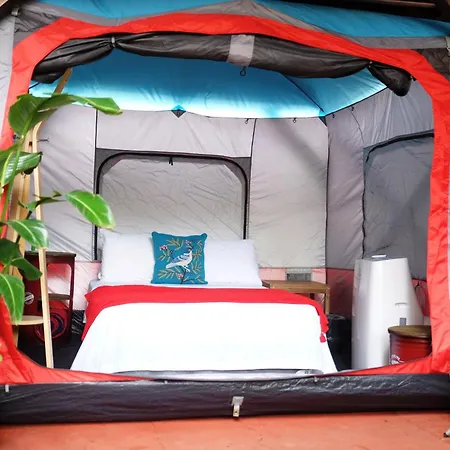 Panama House Bed & Breakfast-3