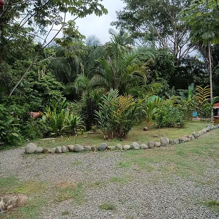 Selva Linda Lodge Jungle Wildlife Vue And Birdwatching-2
