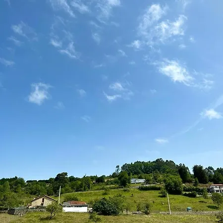 Las Palmeras-3