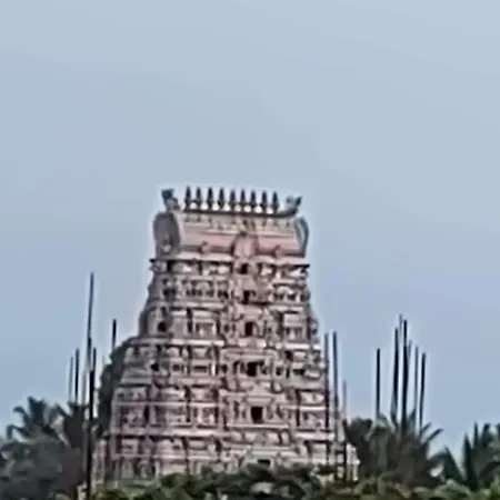Pgr Thirunallar-3