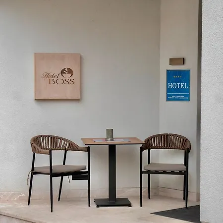 Hotel Boss-3