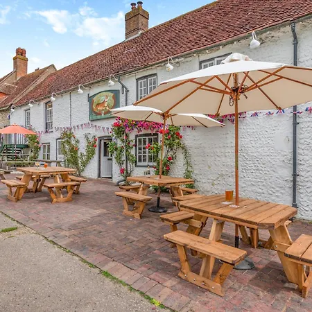 Tiger Inn - Grace-3