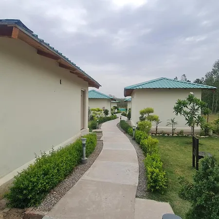 The Tiger Claw Resort-2