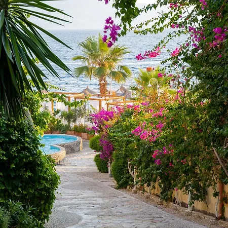 Bougainville Bay Hotel-3