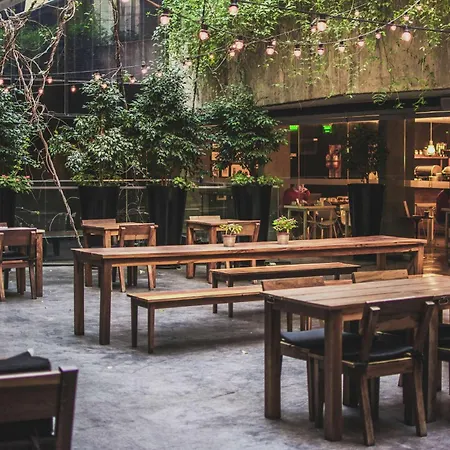 Anselmo Buenos Aires, Curio Collection By Hilton-3